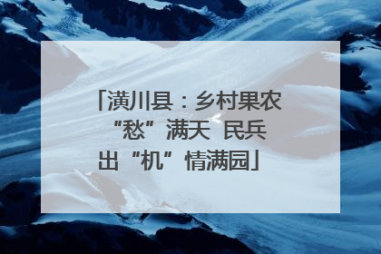 潢川县：乡村果农“愁”满天  民兵出“机”情满园