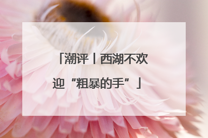 潮评丨西湖不欢迎“粗暴的手”