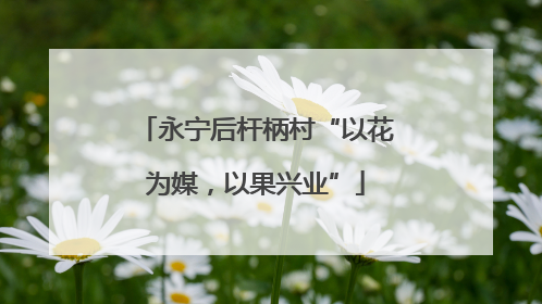 永宁后杆柄村“以花为媒，以果兴业”