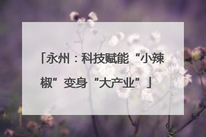 永州：科技赋能“小辣椒”变身“大产业”