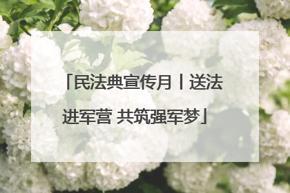民法典宣传月丨送法进军营 共筑强军梦
