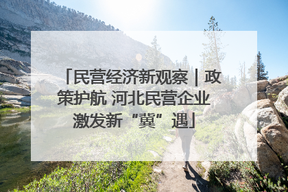 民营经济新观察｜政策护航 河北民营企业激发新“冀”遇