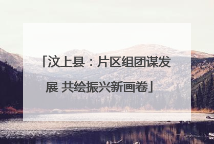 汶上县：片区组团谋发展 共绘振兴新画卷