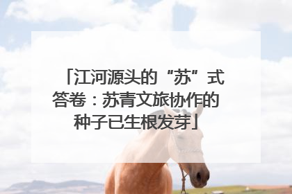 江河源头的“苏”式答卷：苏青文旅协作的种子已生根发芽