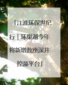 江淮环保世纪行｜环巢湖今年将新增数座深井控藻平台