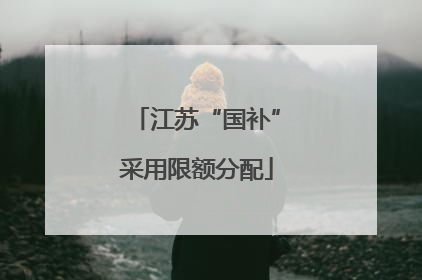 江苏“国补”采用限额分配
