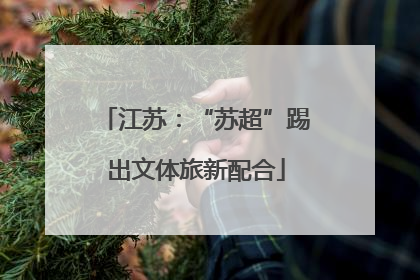 江苏：“苏超”踢出文体旅新配合
