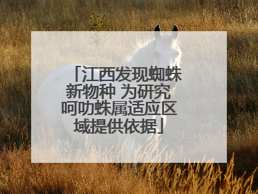 江西发现蜘蛛新物种 为研究呵叻蛛属适应区域提供依据