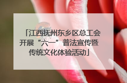 江西抚州东乡区总工会开展“六一”普法宣传暨传统文化体验活动