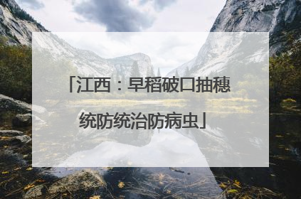 江西：早稻破口抽穗 统防统治防病虫