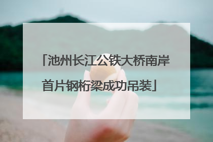 池州长江公铁大桥南岸首片钢桁梁成功吊装