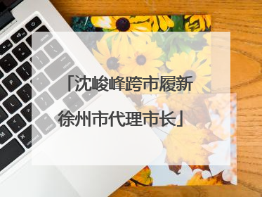 沈峻峰跨市履新徐州市代理市长