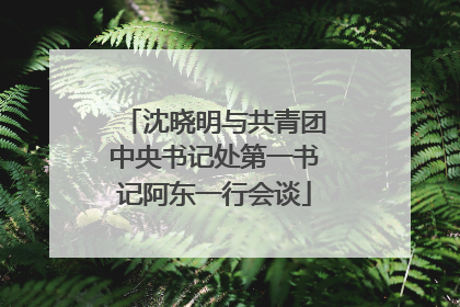 沈晓明与共青团中央书记处第一书记阿东一行会谈