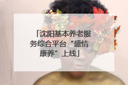 沈阳基本养老服务综合平台“盛情康养”上线