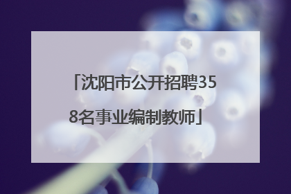 沈阳市公开招聘358名事业编制教师