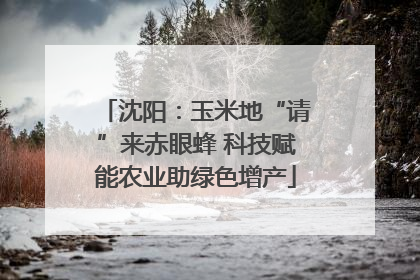 沈阳：玉米地“请”来赤眼蜂 科技赋能农业助绿色增产