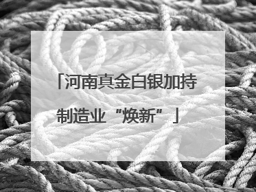 河南真金白银加持制造业“焕新”