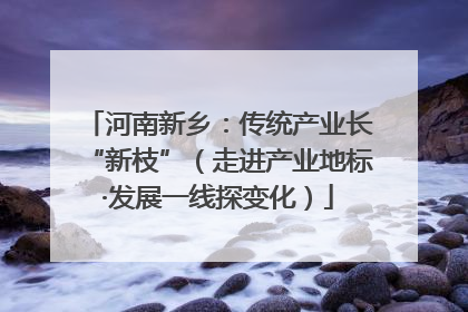 河南新乡：传统产业长“新枝”（走进产业地标·发展一线探变化）