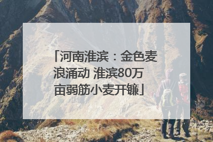 河南淮滨：金色麦浪涌动 淮滨80万亩弱筋小麦开镰