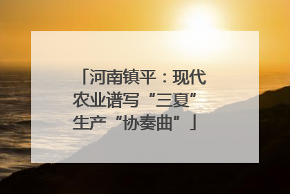 河南镇平：现代农业谱写“三夏”生产“协奏曲”