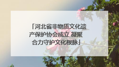河北省非物质文化遗产保护协会成立 凝聚合力守护文化根脉