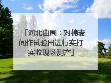 河北曲周：对棉麦间作试验田进行实打实收现场测产