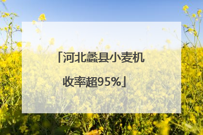 河北蠡县小麦机收率超95%
