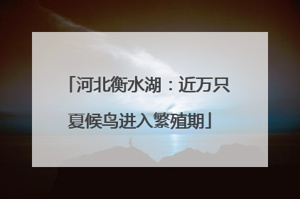 河北衡水湖：近万只夏候鸟进入繁殖期