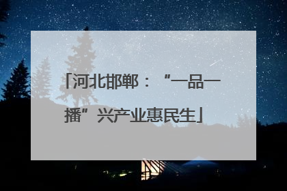 河北邯郸：“一品一播”兴产业惠民生