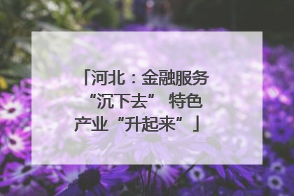 河北：金融服务“沉下去” 特色产业“升起来”