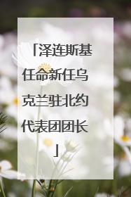 泽连斯基任命新任乌克兰驻北约代表团团长