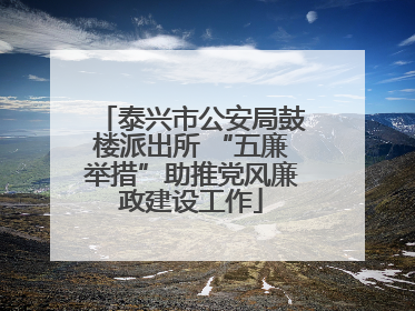 泰兴市公安局鼓楼派出所 “五廉举措”助推党风廉政建设工作