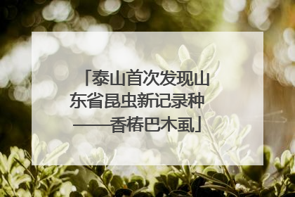 泰山首次发现山东省昆虫新记录种——香椿巴木虱