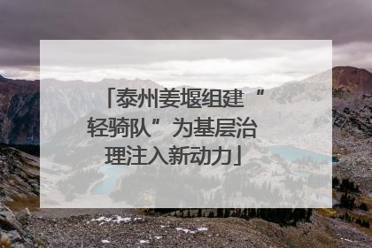泰州姜堰组建“轻骑队”为基层治理注入新动力