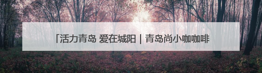 活力青岛 爱在城阳｜青岛尚小咖咖啡季启幕，中韩消费新场景点燃夏日热情