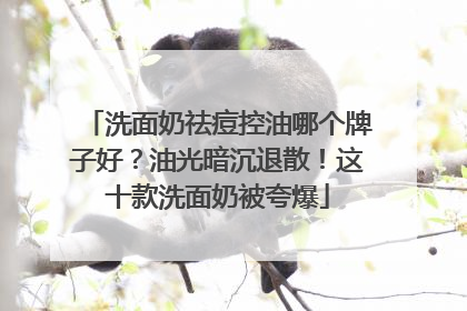 洗面奶祛痘控油哪个牌子好？油光暗沉退散！这十款洗面奶被夸爆