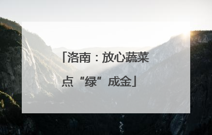 洛南：放心蔬菜点“绿”成金