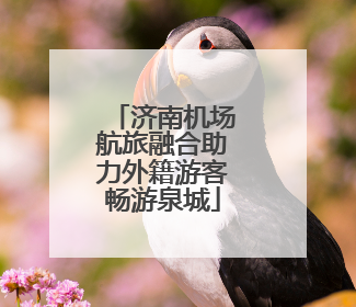 济南机场航旅融合助力外籍游客畅游泉城