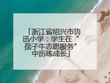 浙江省绍兴市鲁迅小学：学生在“孺子牛志愿服务”中历练成长