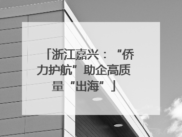 浙江嘉兴：“侨力护航”助企高质量“出海”