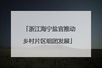 浙江海宁盐官推动乡村片区组团发展