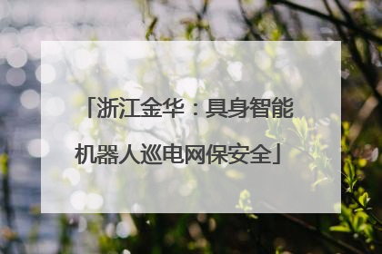 浙江金华：具身智能机器人巡电网保安全