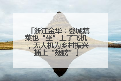 浙江金华：婺城蔬菜也“坐”上了飞机，无人机为乡村振兴插上“翅膀”