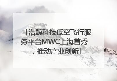浩鲸科技低空飞行服务平台MWC上海首秀，推动产业创新