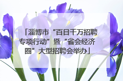 淄博市“百日千万招聘专项行动”暨“省会经济圈”大型招聘会举办