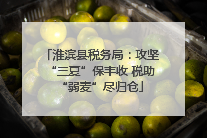 淮滨县税务局：攻坚“三夏”保丰收 税助“弱麦”尽归仓
