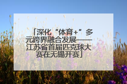深化“体育+”多元跨界融合发展——江苏省首届匹克球大赛在无锡开赛