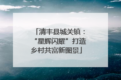清丰县城关镇：“星辉闪耀”打造乡村共富新图景