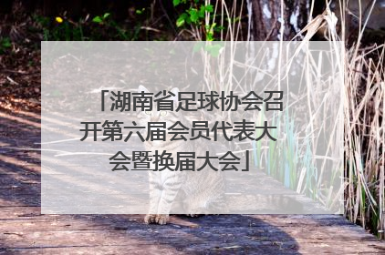 湖南省足球协会召开第六届会员代表大会暨换届大会