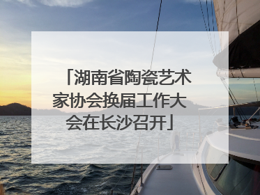 湖南省陶瓷艺术家协会换届工作大会在长沙召开